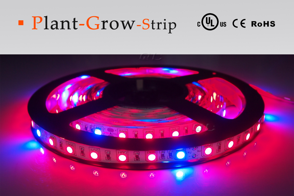 Plant Grow Strips