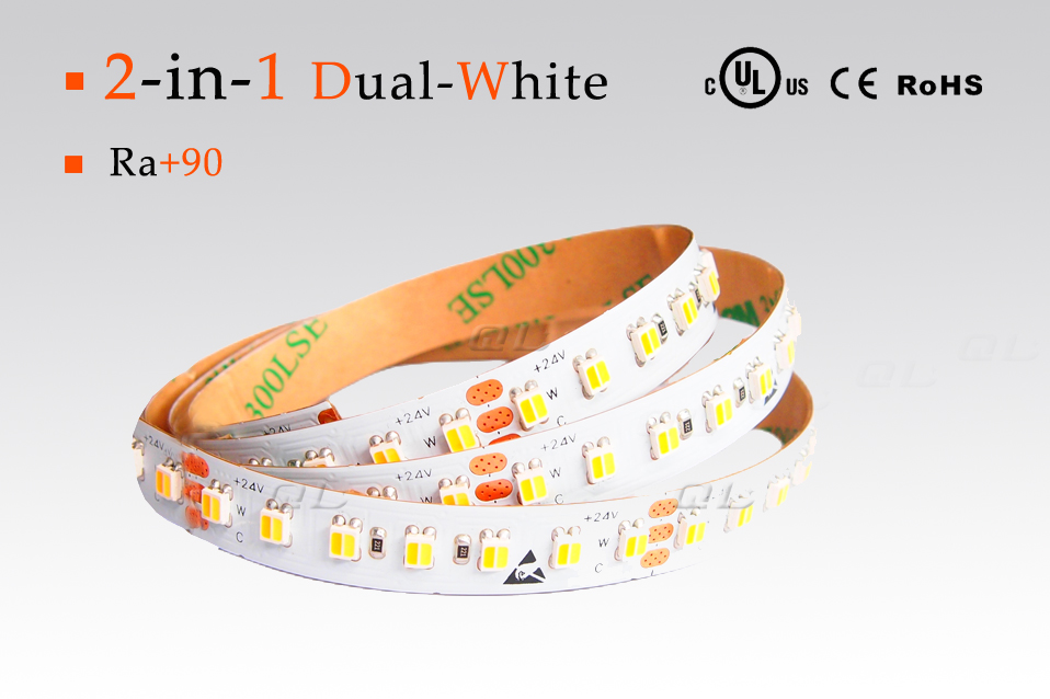 2-in-1LED 3528 Dual White Strips