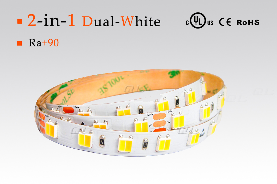 2-in-1LED 5050 Dual White Strips